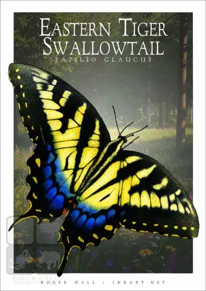 Eastern Tiger Swallowtail Butterfly - Unisex classic tee - Image 2