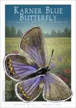 Karner Blue Butterfly - Unisex classic tee - Image 2