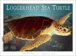 Loggerhead Sea Turtle - Unisex classic tee - Image 2