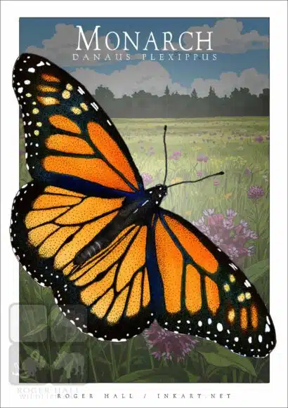 Monarch Butterfly - Unisex classic tee - Image 2