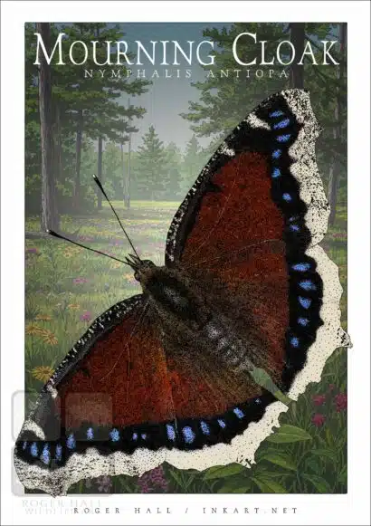 Mourning Cloak Butterfly - Unisex classic tee - Image 2