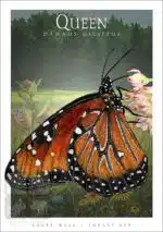 Queen Butterfly - Unisex classic tee - Image 2
