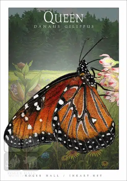 Queen Butterfly - Unisex classic tee - Image 2