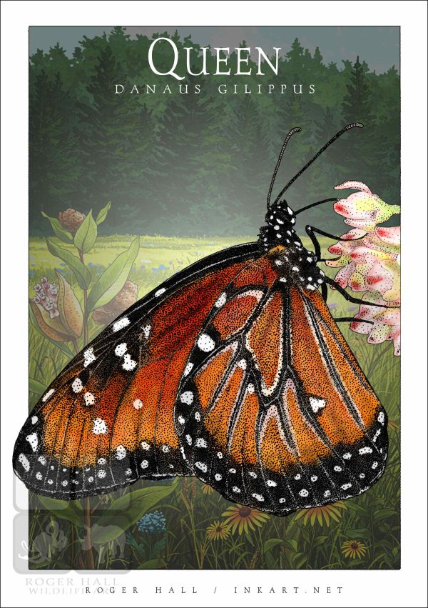 Queen Butterfly - Unisex classic tee - Image 2