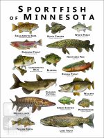 Sportfish of Minnesota Poster Print - Image 2