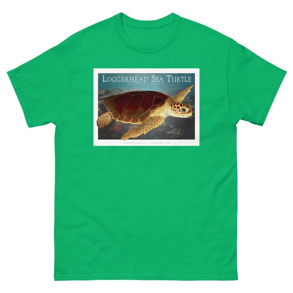 Loggerhead Sea Turtle - Unisex classic tee - Image 7