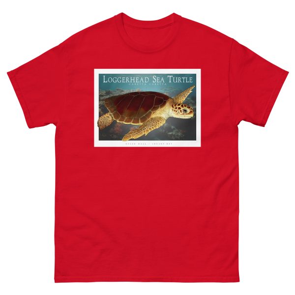 Loggerhead Sea Turtle - Unisex classic tee - Image 4