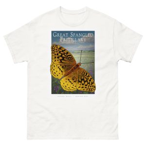 great spangled fritillary (Speyeria cybele) illustration