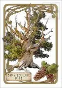 Illustration of a Western Bristlecone Pine Tree in an art nouveau style