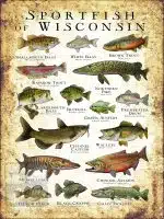 Sportfish of Wisconsin Poster Print - Image 3