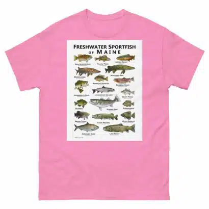 Freshwater Sportfish of Maine - Unisex classic tee - Image 12