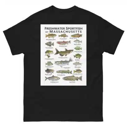 Freshwater Sportfish of Massachusetts - Unisex classic tee - Image 2