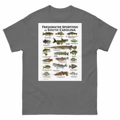Freshwater Sportfish of South Carolina - Unisex classic tee - Image 6