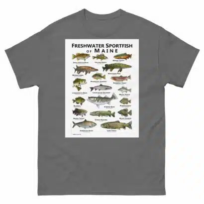 Freshwater Sportfish of Maine - Unisex classic tee - Image 6