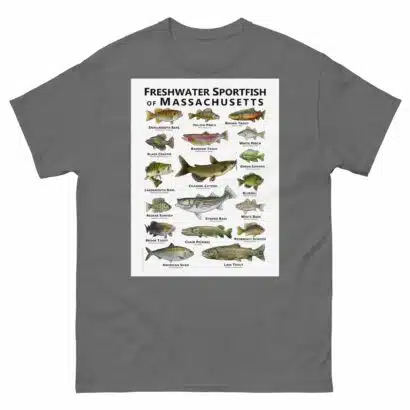 Freshwater Sportfish of Massachusetts - Unisex classic tee - Image 6