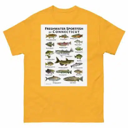 Freshwater Sportfish of Connecticut - Unisex classic tee - Image 14