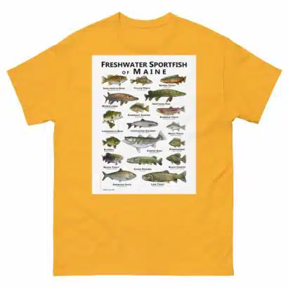 Freshwater Sportfish of Maine - Unisex classic tee - Image 14