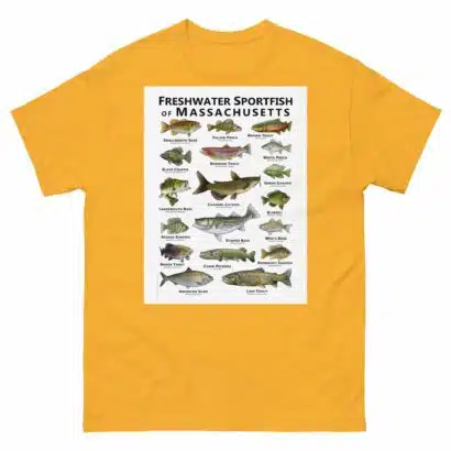 Freshwater Sportfish of Massachusetts - Unisex classic tee - Image 14
