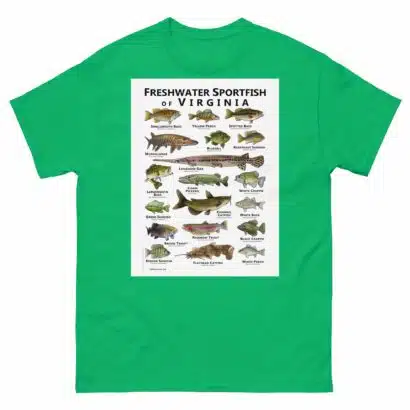 Freshwater Sportfish of Virginia - Unisex classic tee - Image 10