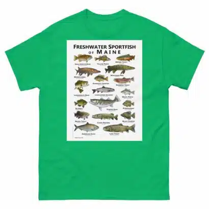 Freshwater Sportfish of Maine - Unisex classic tee - Image 10