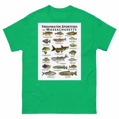 Freshwater Sportfish of Massachusetts - Unisex classic tee - Image 10