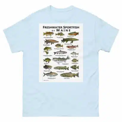 Freshwater Sportfish of Maine - Unisex classic tee - Image 18