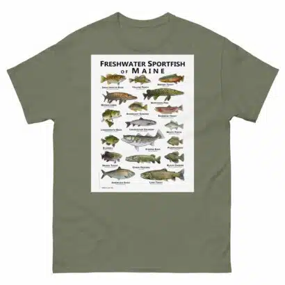 Freshwater Sportfish of Maine - Unisex classic tee - Image 8