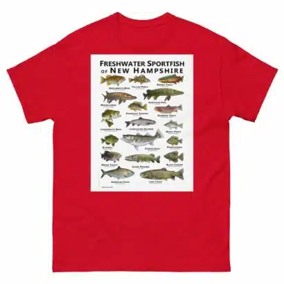 Sportfish of New Hampshire - Unisex classic tee - Image 4