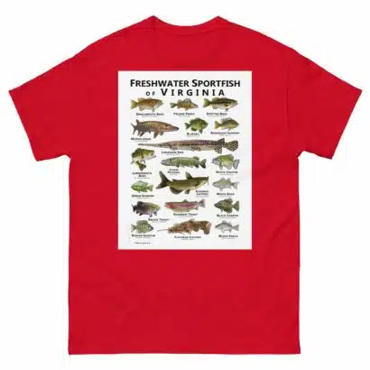 Freshwater Sportfish of Virginia - Unisex classic tee - Image 4