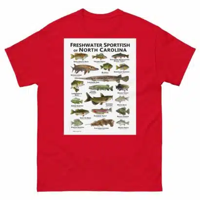 Freshwater Sportfish of North Carolina - Unisex classic tee - Image 4