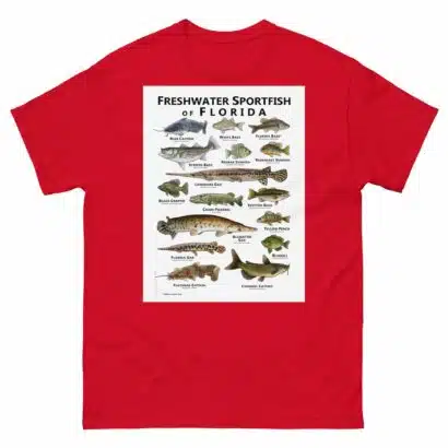Freshwater Sportfish of Florida - Unisex classic tee - Image 4