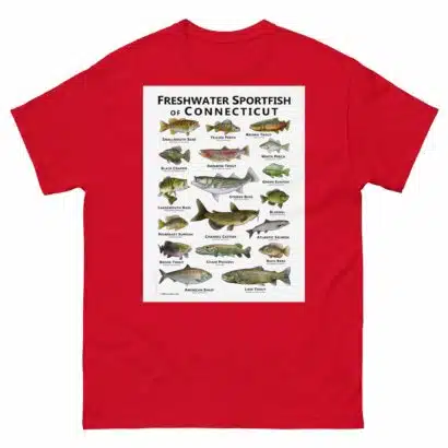 Freshwater Sportfish of Connecticut - Unisex classic tee - Image 4