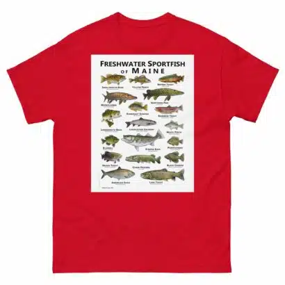 Freshwater Sportfish of Maine - Unisex classic tee - Image 4