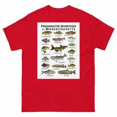 Freshwater Sportfish of Massachusetts - Unisex classic tee - Image 4
