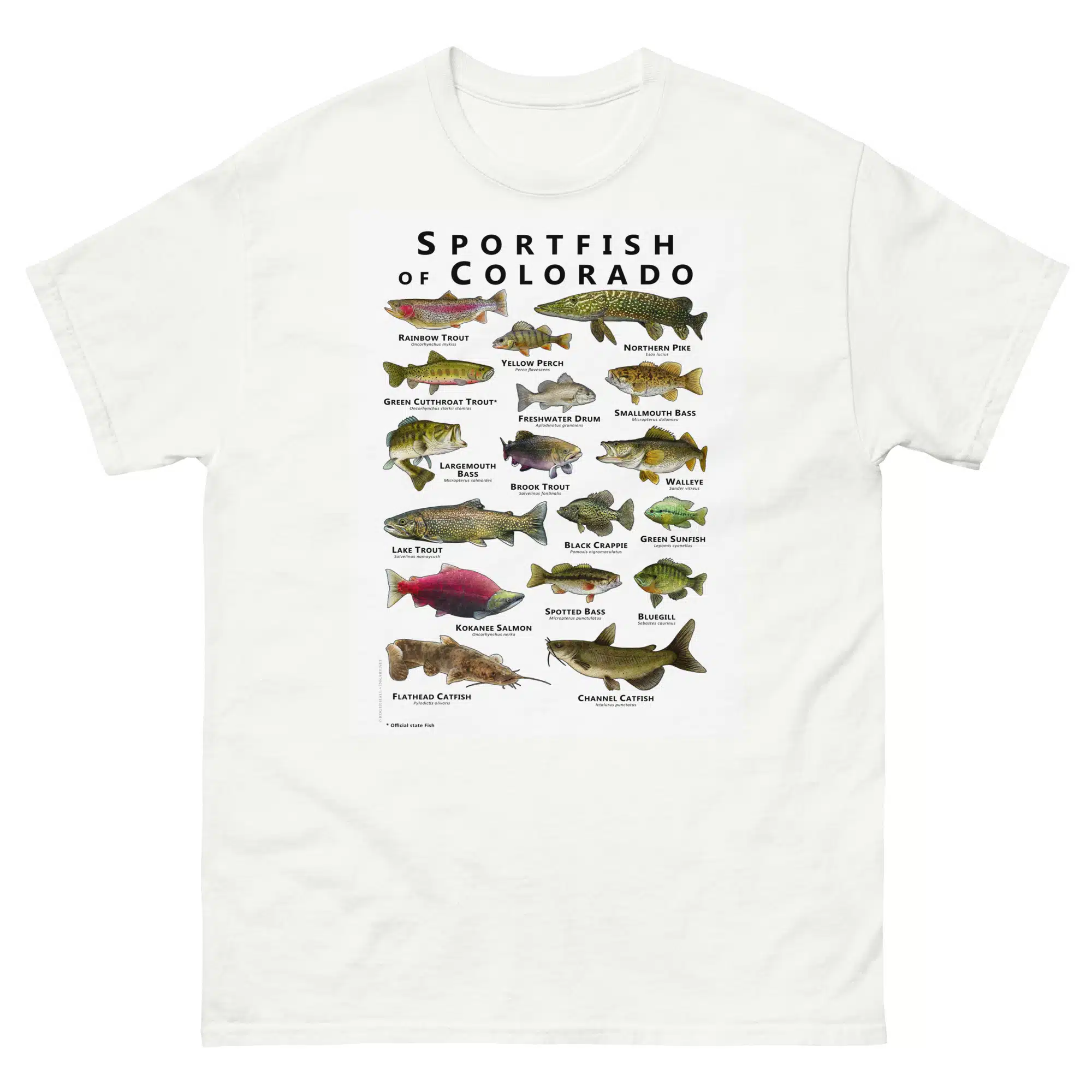 unisex-classic-tee-white-front-68811cf74e6ee.jpg Sportfish of Colorado - Unisex classic tee - Image 1