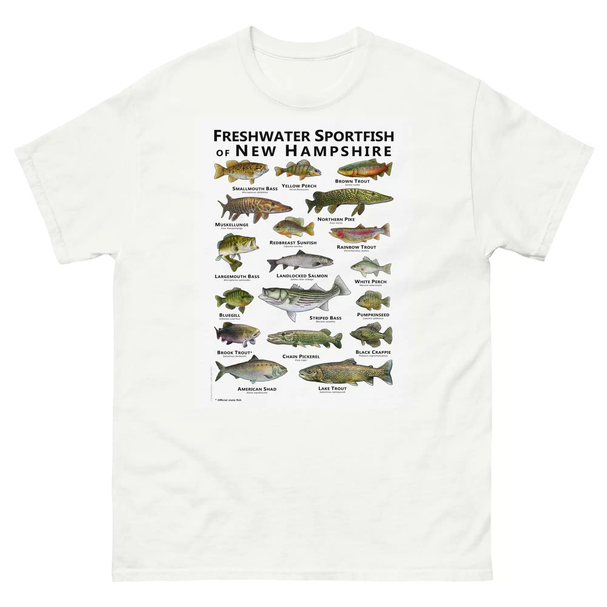 unisex-classic-tee-white-front-6881232190900.jpg Sportfish of New Hampshire - Unisex classic tee - Image 1