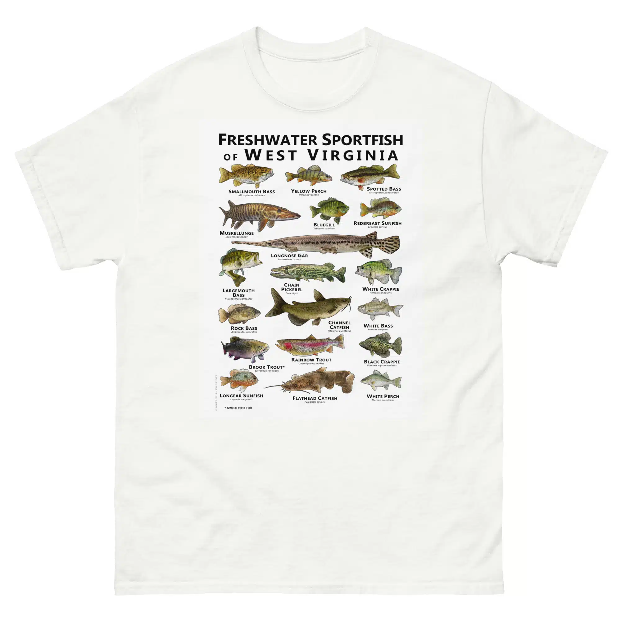 unisex-classic-tee-white-front-688124c704c9b.jpg Sportfish of West Virginia - Unisex classic tee - Image 1