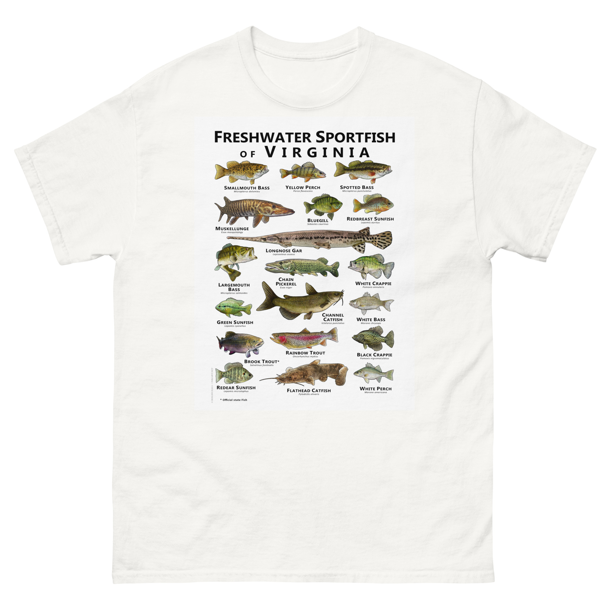 unisex-classic-tee-white-front-68812ca0c7b08.jpg Freshwater Sportfish of Virginia - Unisex classic tee - Image 1
