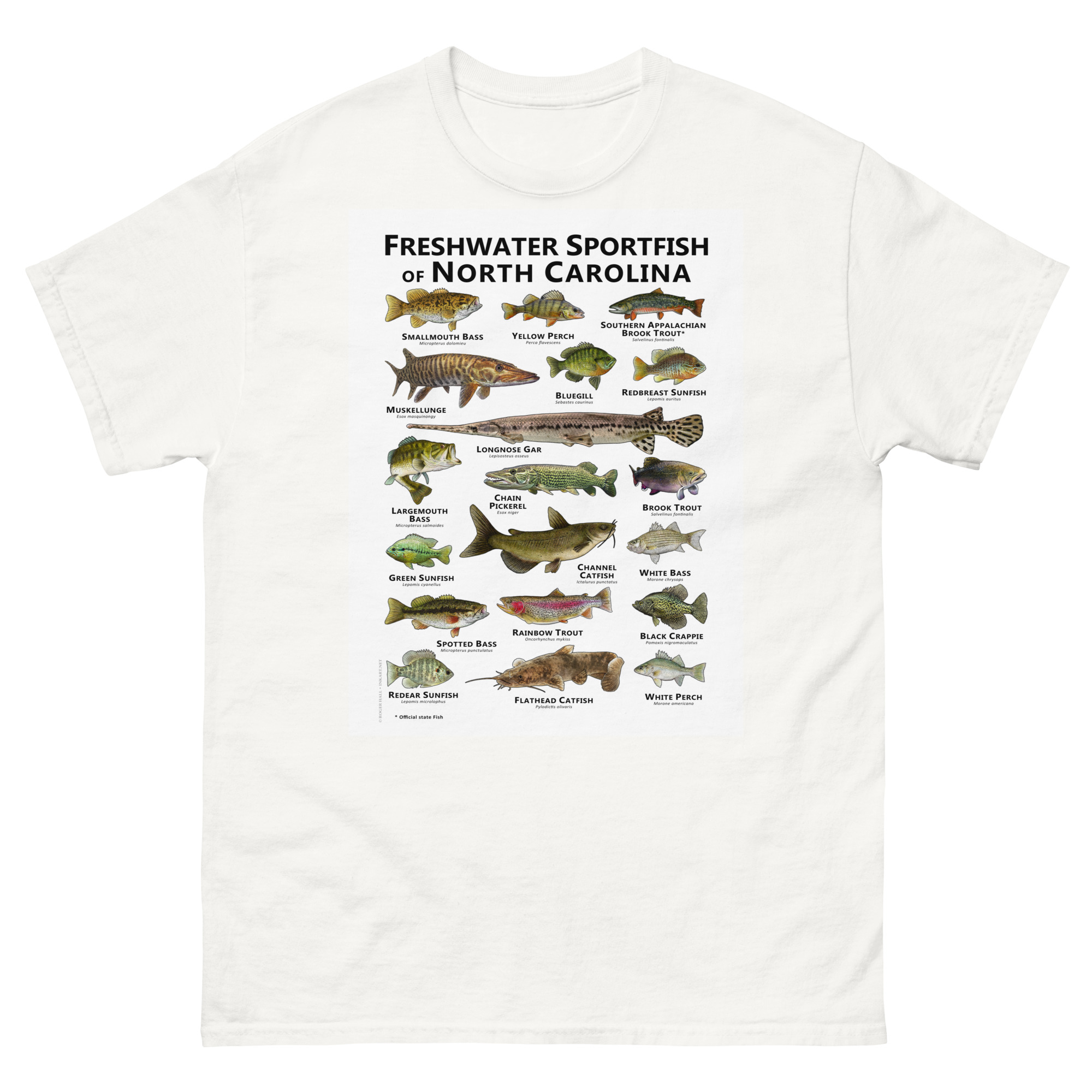 unisex-classic-tee-white-front-688144b3ab33c.jpg Freshwater Sportfish of North Carolina - Unisex classic tee - Image 1