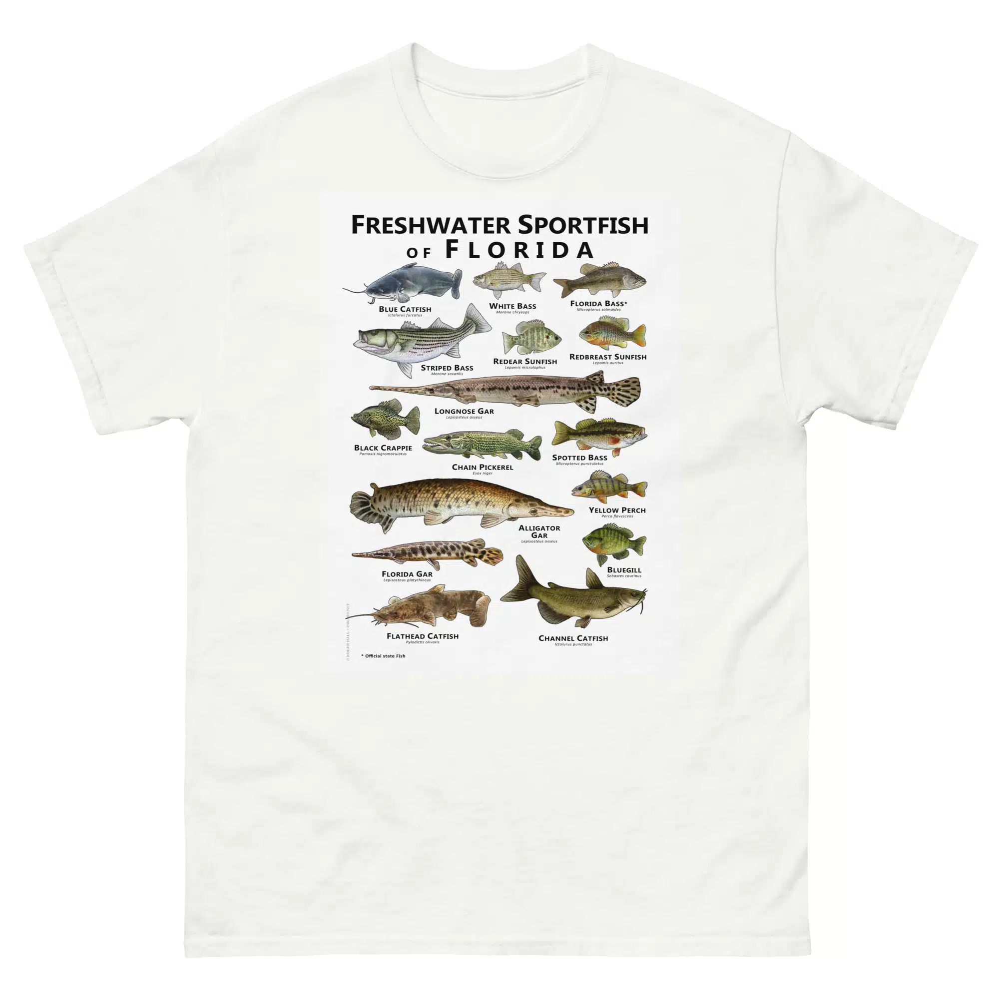 unisex-classic-tee-white-front-688146184fb2d.jpg Freshwater Sportfish of Florida - Unisex classic tee - Image 1