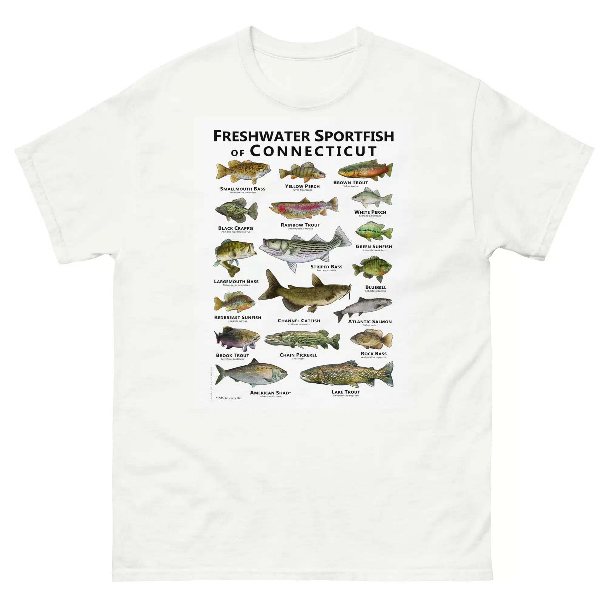 unisex-classic-tee-white-front-688146712533d.jpg Freshwater Sportfish of Connecticut - Unisex classic tee - Image 1