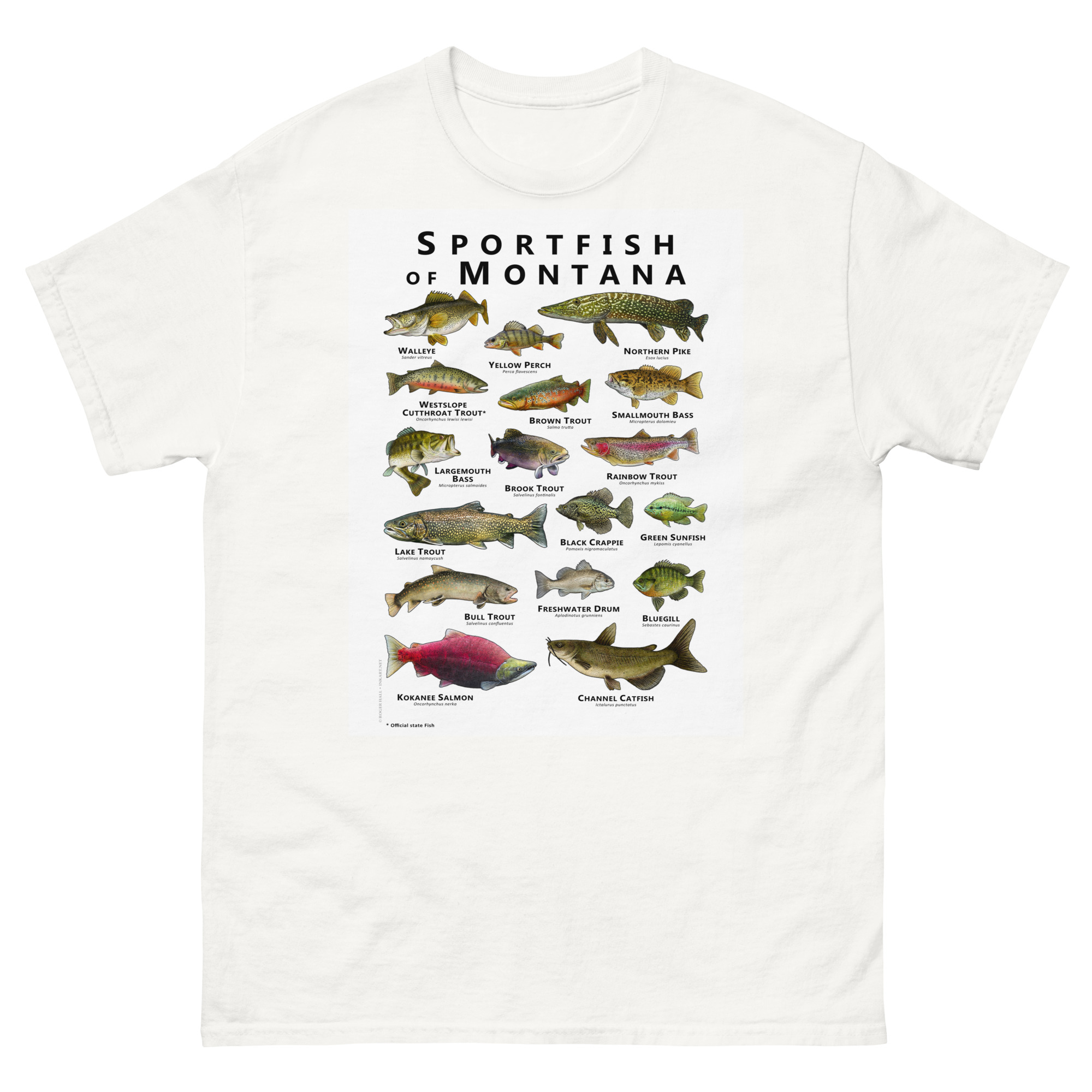 unisex-classic-tee-white-front-6881471d40d7f.jpg Sportfish of Montana - Unisex classic tee - Image 1