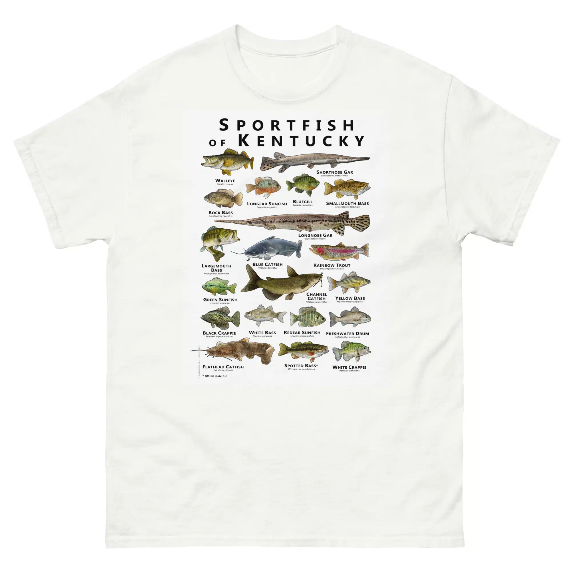 unisex-classic-tee-white-front-6881479e60a87.jpg Sportfish of Kentucky - Unisex classic tee - Image 1