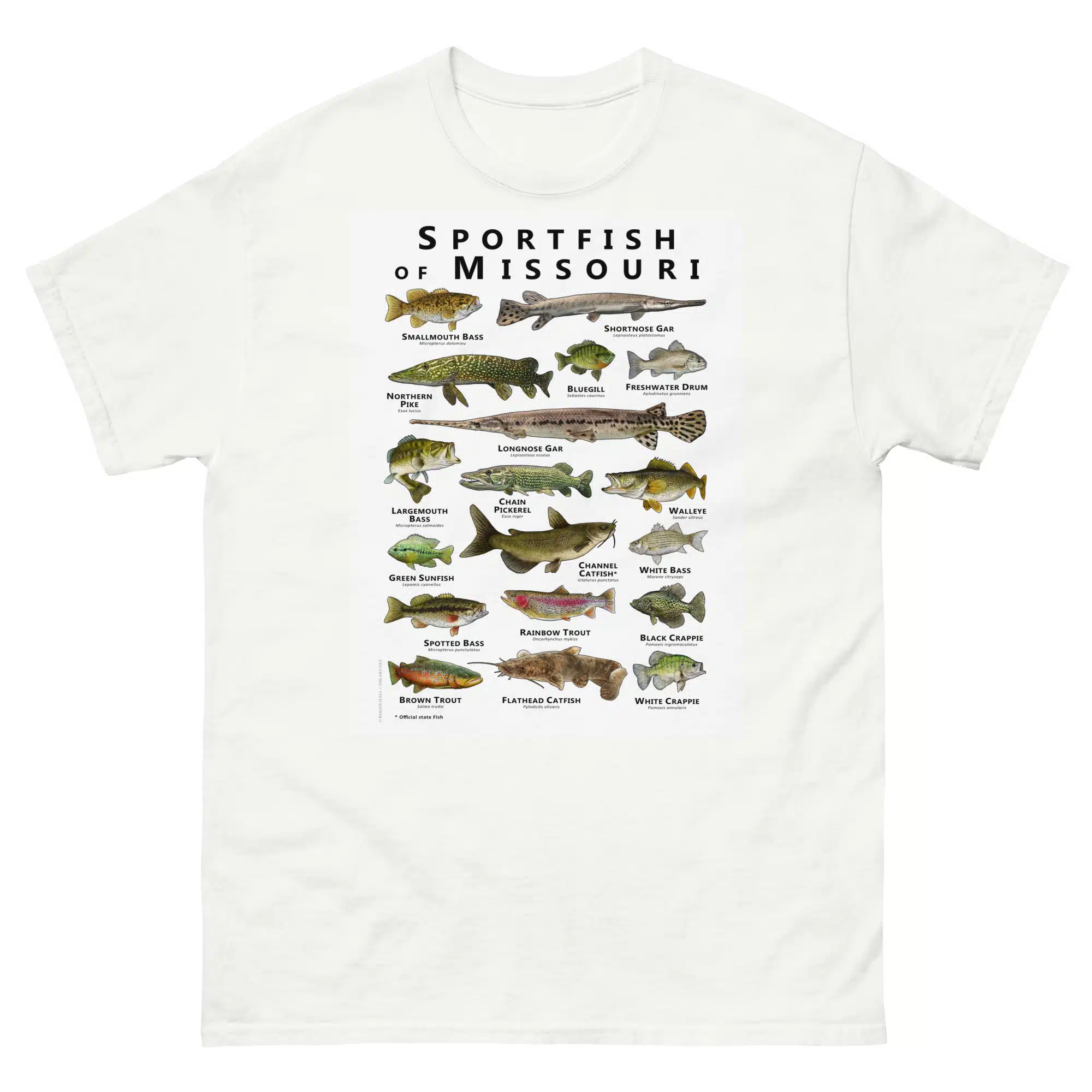 unisex-classic-tee-white-front-6881482e3ab24.jpg Sportfish of Missouri - Unisex classic tee - Image 1