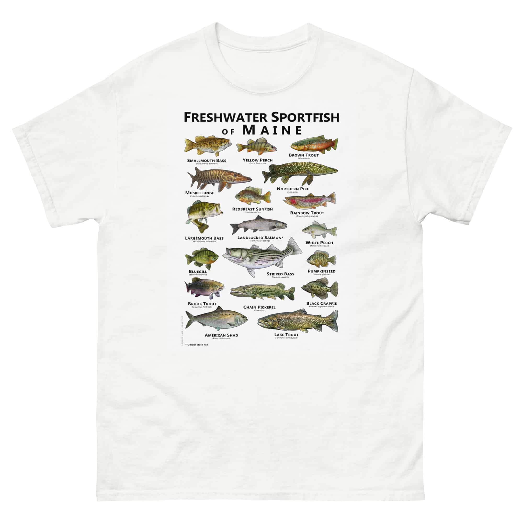 unisex-classic-tee-white-front-688148c0c1c89.jpg Freshwater Sportfish of Maine - Unisex classic tee - Image 1