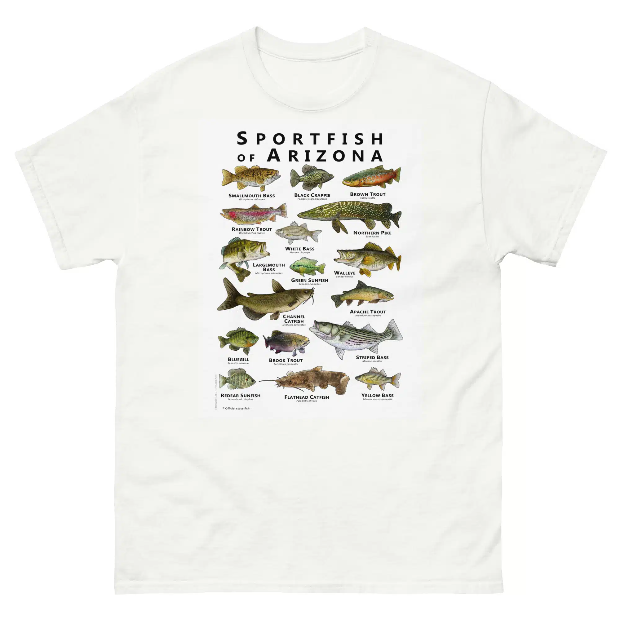unisex-classic-tee-white-front-688149c8ca33d.jpg Sportfish of Arizona - Unisex classic tee - Image 1