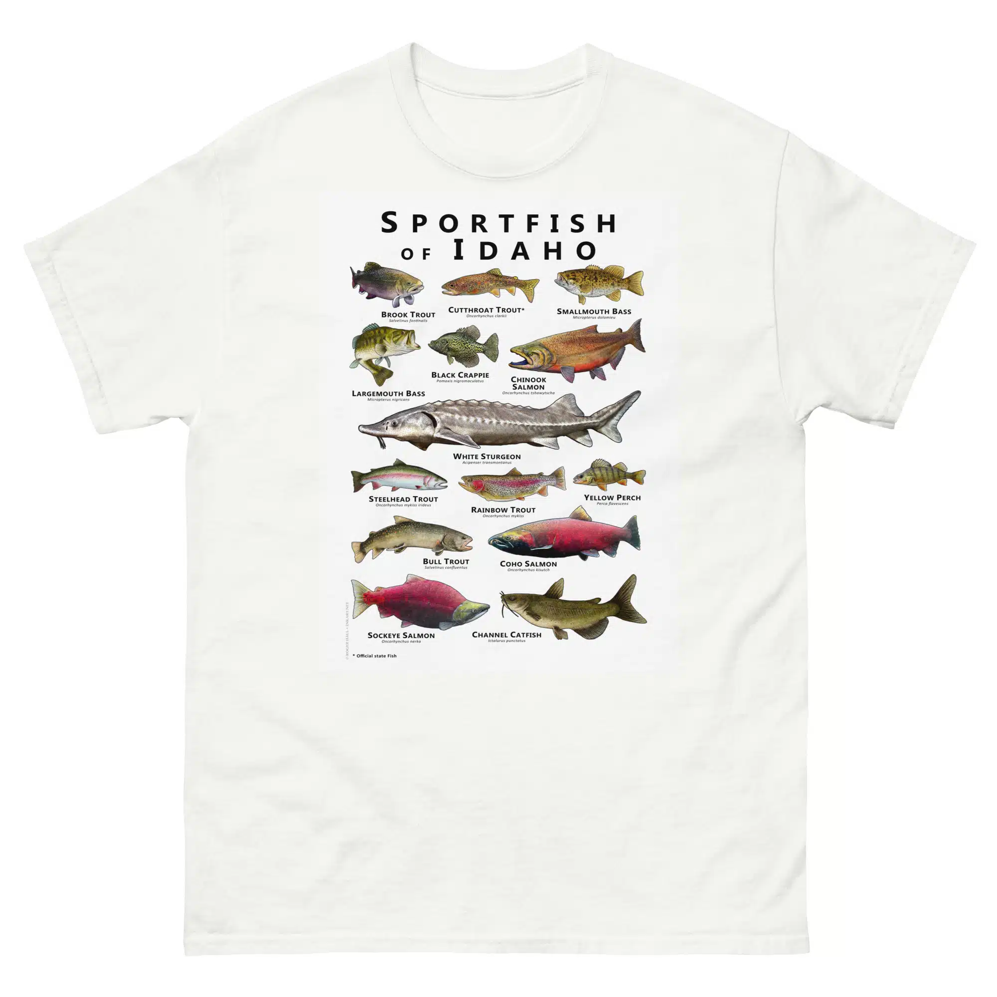 unisex-classic-tee-white-front-68814b758ad7b.jpg Sportfish of Idaho - Unisex classic tee - Image 1