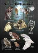 Owls of New Hampshire poster print