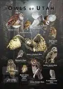 Owls of Utah poster print