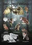 Owls of West Virginia poster print